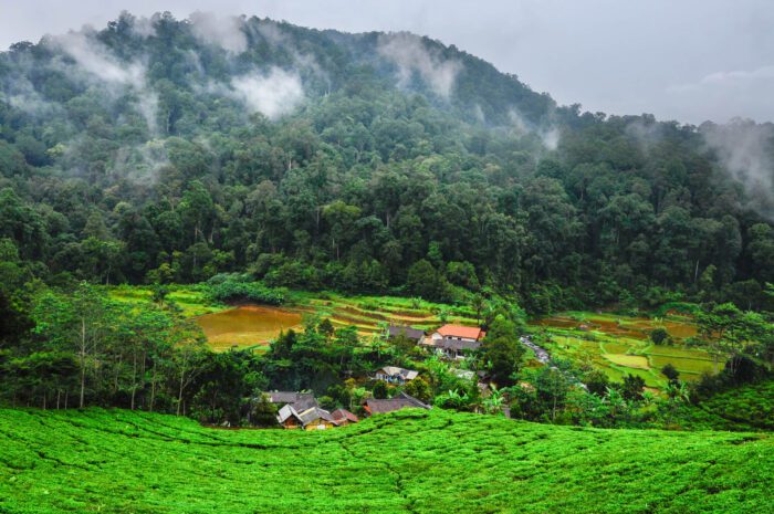 Sumatra rural area