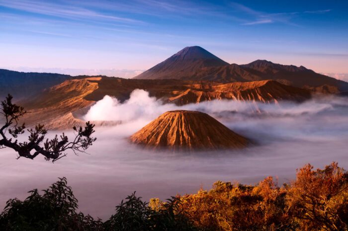 bromo guide