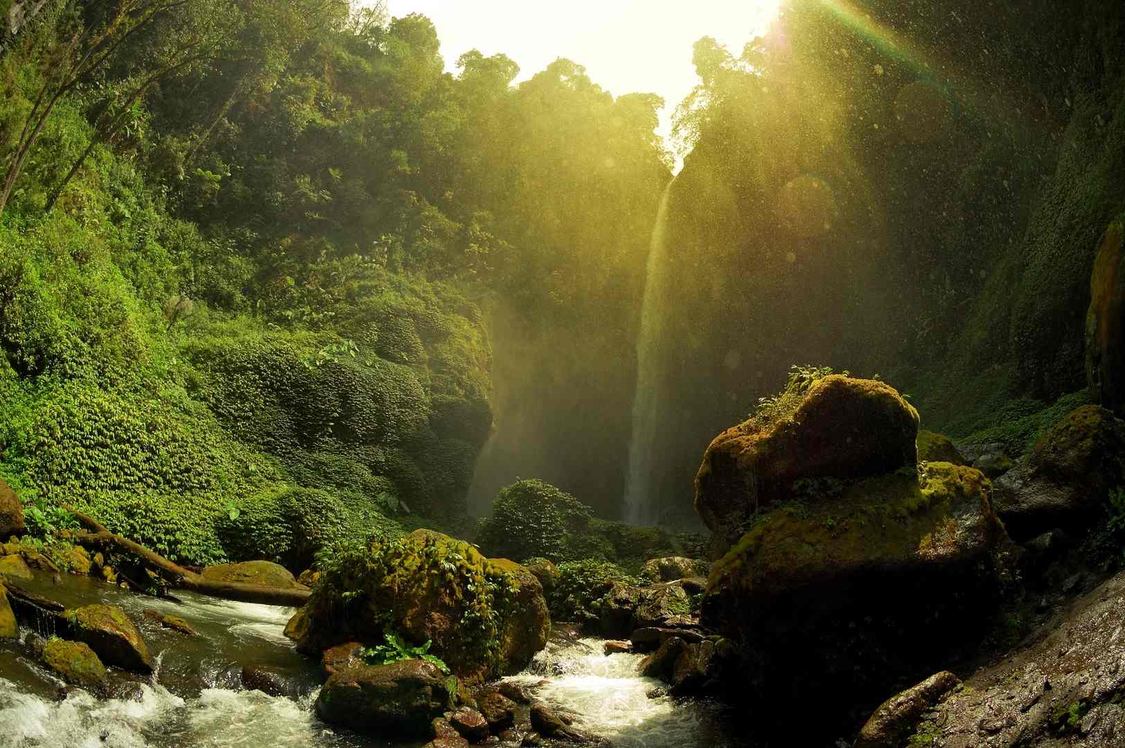 Waterfall in Malang