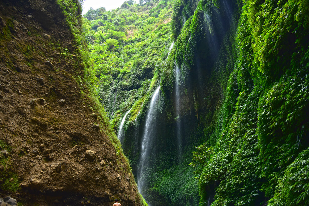 Madakaripura Waterfall