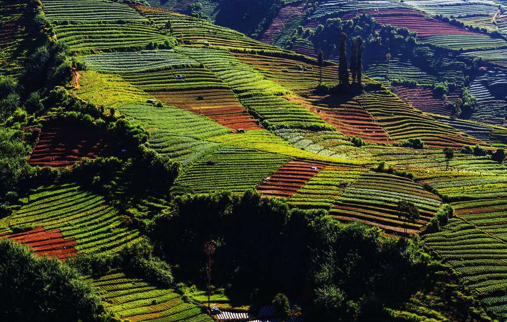 dieng plateau