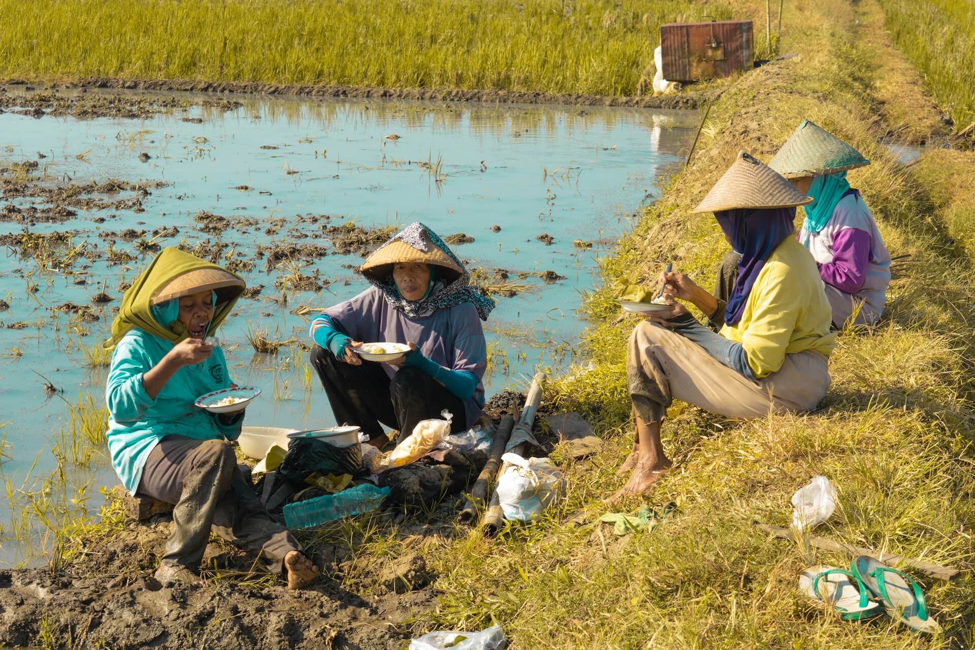 javanese farmers